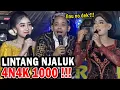 Download Lagu Cak Percil Cs \u0026 Lintang Terbaru - Pengen koyok lintang karo bulan Di Tengger - Senduro Lumajang
