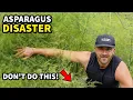 I Made A DUMB Mistake Planting Asparagus Do THIS Instead