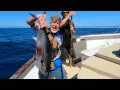 Bluefin Tuna Fishing on the Navegante Redondo Sportfishing