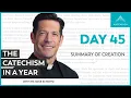 Day 45 Summary of Creation The Catechism in a Year with Fr Mike Schmitz