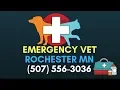 Emergency Vet Rochester Minnesota Rochester Emergency Vet 507 556 3036