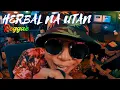 Download Lagu HERBAL NA UTAN - Rudy Tagsip of HALAMANA | Tropavibes Reggae Live Session