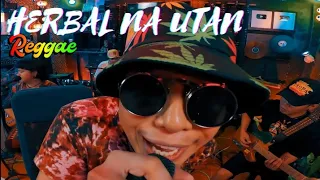herbal na utan rudy tagsip of halamana tropavibes reggae live session