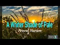 Download Lagu A Whiter Shade of Pale - Procol Harum lyrics