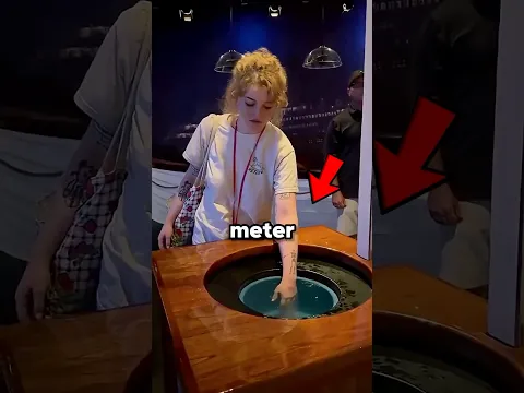 Expectativa vs. realidad en un viaje!