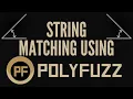 Fuzzy String Matching with BERT TF-IDF using PolyFuzz