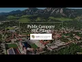 Public Company SEC Filings