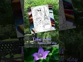 A Perfect Day Just for Me Enjoying Nature with Coloring Pages