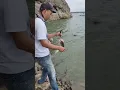 Download Lagu Melestarikan ikan hampala di waduk gajah mungkur wonogiri