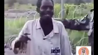 على طريق السلط ياما مشينا بنكهة سودانية تموت من الضحك  على طريق السلط ياما مشينا بنكهة سودانية تموت من الضحك