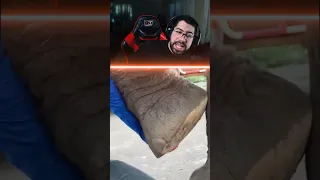 الفيل داعس على مسمار   دندنها
