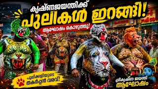 ശ്രീകൃഷ്ണ ജയന്തി ആഘോഷത്തിൽ പുലിക്കളി | നിറഞ്ഞാടിയ പുലിവേഷങ്ങൾ 🔥🐯