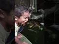 Download Lagu #anakspesial Ayahmama Bermain ikan di kolam #autismacceptance #autismawareness
