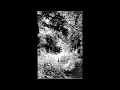 Download Lagu Forest Grave (UK) - By the Desolate Boughs of Old (Demo) 2013