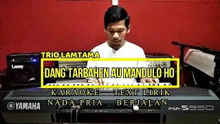 Download DANG TARBAHEN AU MANDULO HO || TRIO LAMTAMA || NADA PRIA || LIVE KARAOKE MP3
