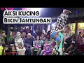 Lagu YAKIN GA PINGIN NONTON AKSI  INI
