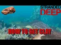 Stranded Deep Guide How to Find Clay Easily