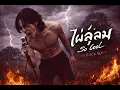 ไผ่ลู่ลม - So Cool | Cover by After Rock Song