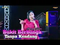 Lagu LINTANG KAIRO ~ BUKIT BERBUNGA TANPA KENDANG