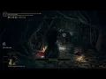 ELDEN RING SELLEN BUG