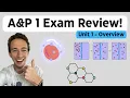 Anatomy Physiology Unit 1 Review Homeostasis Chemistry Cells Tissues