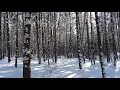 Download Lagu Relaxing Music, 4K Video, Mp3 Juice, Tubidy, Mp3 to YouTube, Music, Mp3, AMBITION OF THE HEAVEN🌙