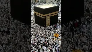 لبيك اللهم لبيك مقطع قصير   حالات واتس اب   تكبيرات الحج      دندنها