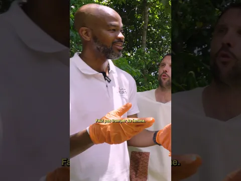 Les abeilles sentent les gens malhonnêtes feat Eric Judor !  #humour #guadeloupe #food