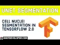 Cell Nuclei Segmentation using UNET in TensorFlow 2 0 Semantic Segmentation Deep Learning
