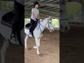 Download Lagu Saddle of my heart #equestrianjourney #horseridinglessons #去有风的地方