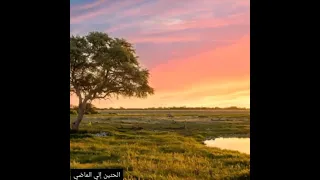 موسيقي فيلم   الراقصه والسياسي  الموسيقار الرائع خالد الأمير   دندنها