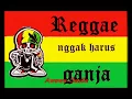 Download Lagu Reggae-my honey