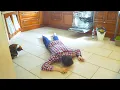 A MACSKA REAKCIOJA A GAZDAJA HALALARA