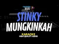 Download Lagu Stinky - Mungkinkah Karaoke Lirik