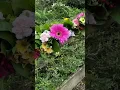 Download Lagu Manden met verse bloemen en trapdecor voor versiering van evenementen