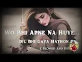 Wo bhi apne na hua dil bhi gaya hathon se || slowed and reverb || unke andaz e karam