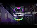 Hardwell And Timmy Trumpet - The Underground [Remix]