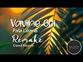 Download Lagu Vavine Goi- Pala Leana | Remake | Erased Records | 2025