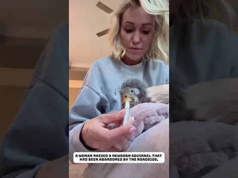 Poor little squirrel #squirrel  #animals #lovestory #cute #rescue