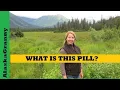 What Is This Pill - How To Identify Medicines