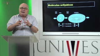 Bioquímica - Aula 01 - Apresentação