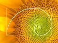 LeetCode 1137 N-th Tribonacci Number Foundation for Dynamic Programming