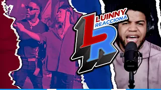 ceky viciny x papaa tyga bandido luinny reacciona 