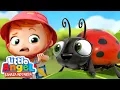 Download Lagu Jangan Dekat-Dekat Aku Serangga!🐞Kartun Anak | Little Angel Bahasa Indonesia