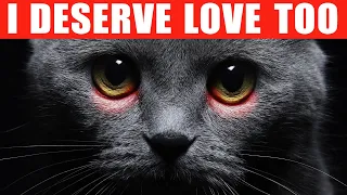 Download 12 Ways to Tell Your Cat You Love Them in a Language They Understand MP3