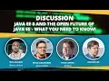 Discussion Java EE 8 MicroProfile and the future of Java EE Java2Days 2017