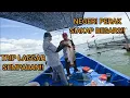 Download Lagu Vlog#347 FERST TIME MASUK LAUT PERAK STRIKE MONSTER BERTUBI2..#fishing #sangkarsgudang 