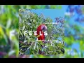 Download Lagu Calvin Harris - Feels ft. Pharrell Williams, Katy Perry \u0026 Big Sean  528 Hz