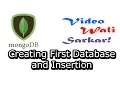 MongoDb in Hindi Urdu No 3 - Creating First Database And Insertion
