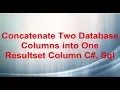 Concatenate Two Database Columns into One Resultset Column C